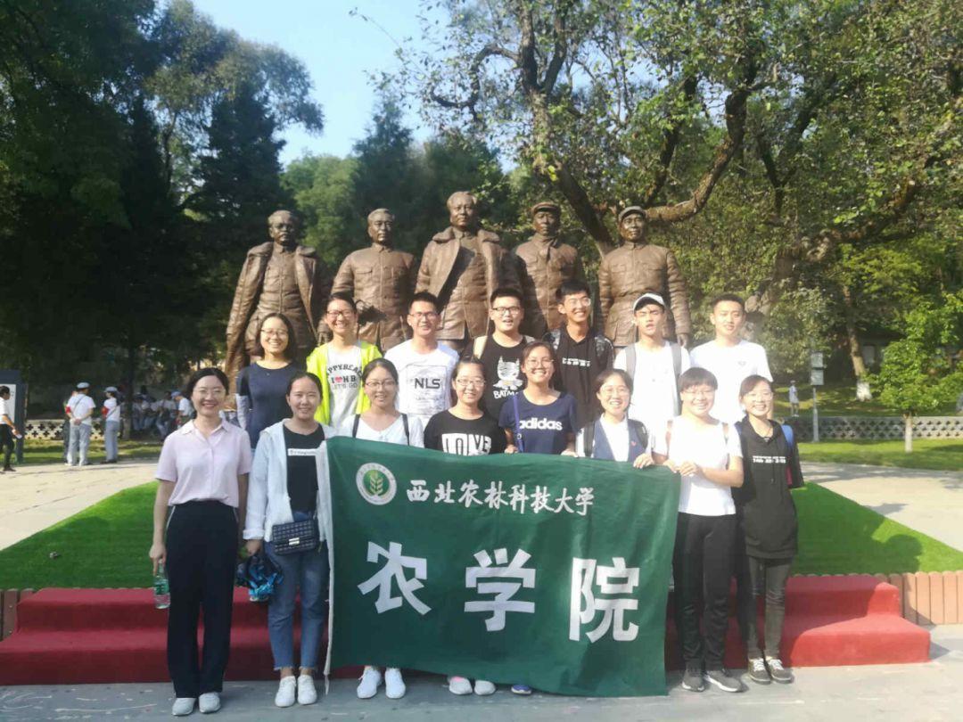 安全才是最大的豪华！每一次出行安全，由风云A8守护